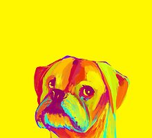Boxer (Yellow) by shakusaurus