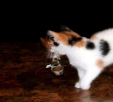 A Game of Cat and Mouse by Carla Jensen