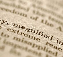 Magnified Coincidence by Lynn Gedeon