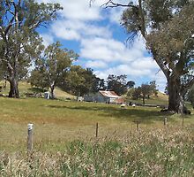 Shearing Shed in Adelaide Hills by Stephen Dean