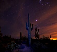 On a Starlit Night by Saija Lehtonen