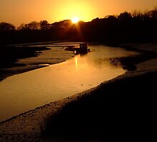 Down By The Water - I by mobydoc