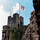 Prudhoe Castle by axp7884