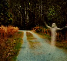 The Ghost is Dancing by Scott Mitchell