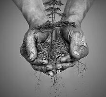 Earth In His Hands by Patricia Jacobs CPAGB LRPS BPE3