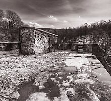 The Rezie Surrounds by Aaron Campbell