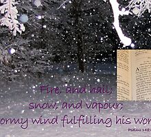 Fulfilling His Word by aprilann