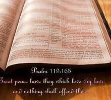 Great Peace Have They by aprilann