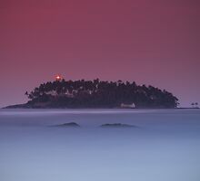 Island by naumenko
