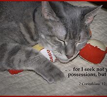 Possessions by Kenneth Hoffman