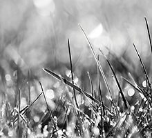 fill my heart with light... by Gregoria Gregoriou Crowe