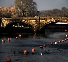Buoys Bridge by Country Pursuits