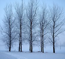 Winter Trees II by Ludwig Wagner