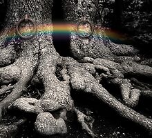 A Secret In The Forest by Alex Preiss