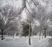Snow-covered Path in a Scenic Park by Chantal PhotoPix