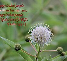 Happy is That People Whose God is the LORD! by aprilann