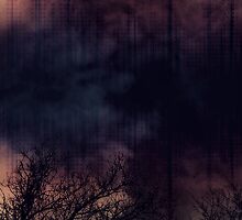 Infection by Scott Mitchell