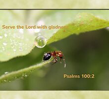 Serve the Lord with Gladness by aprilann