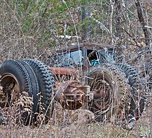 Big Ones by Carolyn Clark