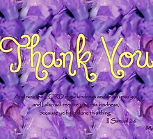 Thank You - II Samuel 2:6 by aprilann