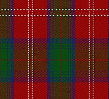 01979 Chisholm Clan/Family Tartan Fabric Print Iphone Case by Detnecs2013