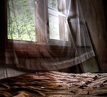 12.4.2013: Silent Evening II by Petri Volanen