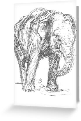 Elephant by taiche