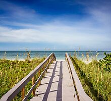 Board Walking a Treasure Island Beach Get Away by Casey Peel
