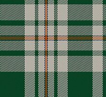 02085 Westfalia Tartan Fabric Print Iphone Case by Detnecs2013