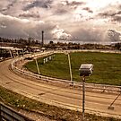 Pelaw Grange Greyhound Stadium by axp7884