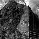 Neglected by axp7884