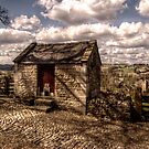 Hen House by axp7884