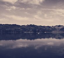It Surrounds Me by Laurie Search