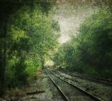 Shuqualak Tracks by Ginger Barritt