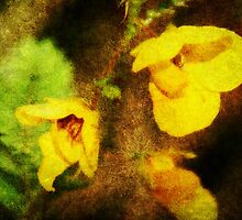 Yellow Wildflowers by Ginger Barritt