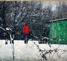 Green Shed by Ginger Barritt