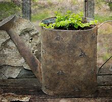Recycled Watering Can by Ginger Barritt