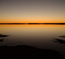 Joe Mortelliti Gallery - Lake Caroline, north Simpson Desert, Northern Territory, Australia. by thisisaustralia