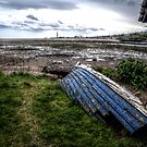 Tweed Estuary by axp7884