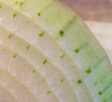 244/365 slicing onions by LouJay