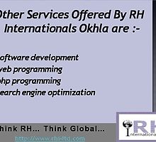 Expertise In Multiple Domain by rhiltd
