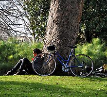 Afternoon Sojourn by Karen E Camilleri