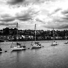 Follow The Leader by Andrew Pounder