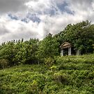 Roman Temple by Andrew Pounder