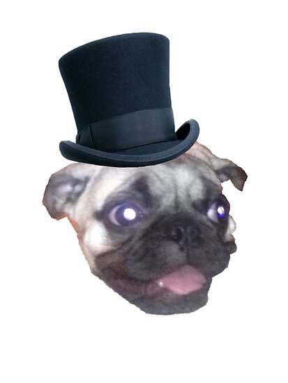 pug in a top hat