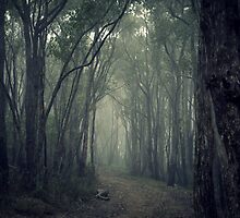 A Road Less Travelled by Ben Loveday