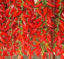 PEPPER MARKET by orsinico