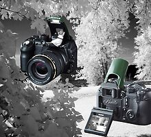 ☀ ツMY FUGIFILM Is-1 INFRARED CAMERA INSIDE,PICTURE TAKEN WITH THE INFRARED CAMERA ☀ ツ by ✿✿ Bonita ✿✿ ђєℓℓσ