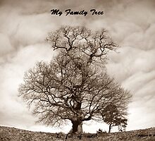 My Family Tree - is full of nuts by trish725
