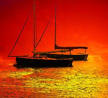 Sea Of Fire by Darren Burroughs